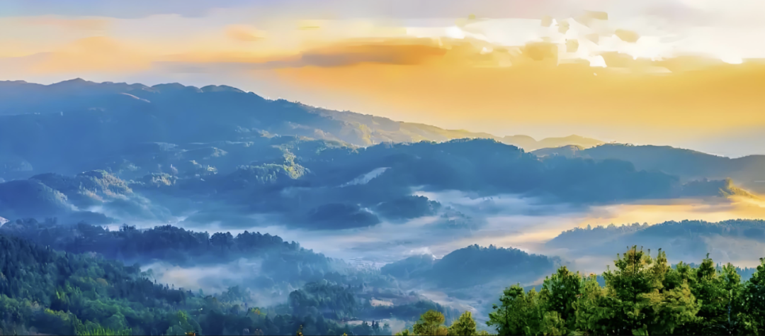 十一探秘高黎贡山：解锁物种多样性奇境