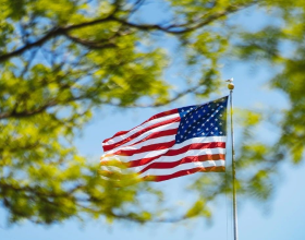 美国绿卡最新排期进展！中国人要等多久才能拿到绿卡？