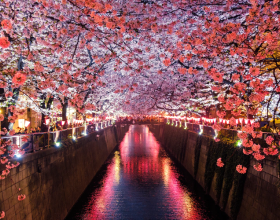 高考日语全国卷原来长这样！不爱学英语，可以学日语逆袭啊！