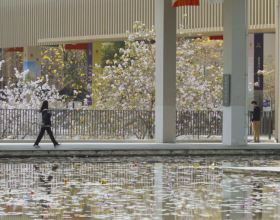 高考700分难上清北？中外合作办学N+N解救你的名校路！