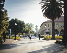 八大藤校早申遇冷，未来爬藤如何自救？