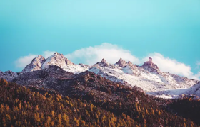 美国本科留学申请要求是什么