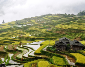 贵州研学 | 品梯田传承，践公益之行！