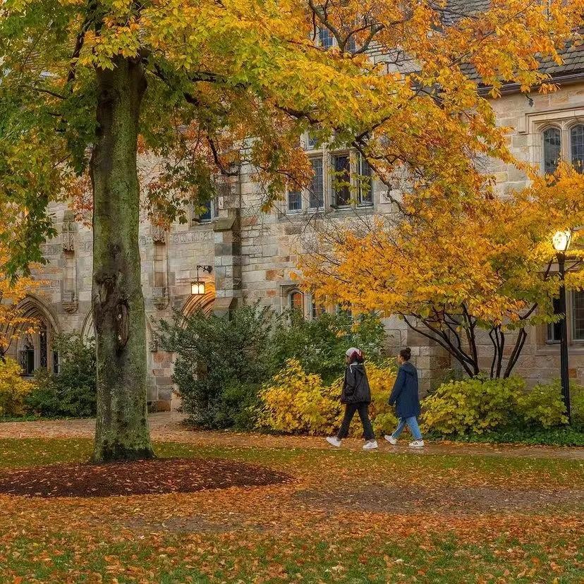 2022申请季emo：GPA没救了，我该怎么办？