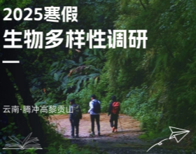 现实版&ldquo;动森&rdquo;，一起探索高黎贡山的世界物种基因库