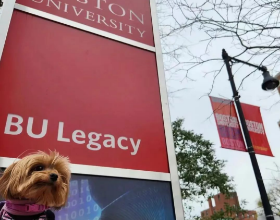 美国大学流行&ldquo;养鱼&rdquo;？想从Waitlist里被捞上岸真的好难！