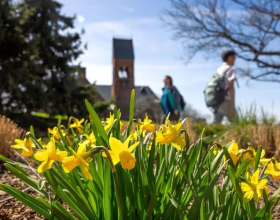 又一藤校强制标化！美国大学纷纷&ldquo;反水&rdquo;，2025申请如何破局？