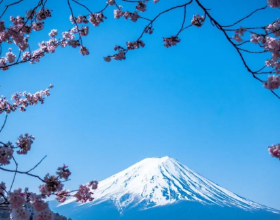 移民这个国度，尽情享受那份随性与自由！