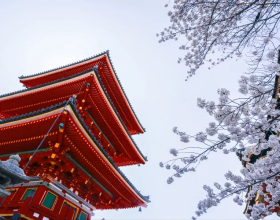 很多同学听说过，但并不了解的升学途径&mdash;&mdash;日本AO入试