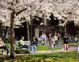 疫情红利消解，美国大学录取&ldquo;一反常态&rdquo;？2024美本申请如何破局？