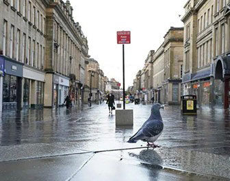 最新！英国三次&ldquo;封国&rdquo;最全指南：中高考取消及替代方法，入境管控升级！