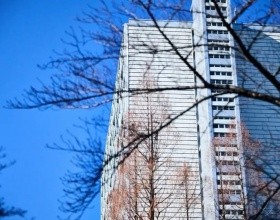 2025考研查分时间公布，解锁日本名校上岸指南