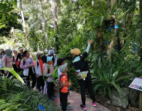 2024年研学游学的几大误区，别中招啦！