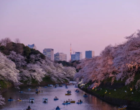 赴日留学必须了解的&ldquo;在留卡&rdquo;是什么？如何办理？一文搞清！