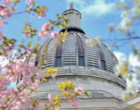 2025泰晤士世界大学学科排名发布 MIT与斯坦福独占鳌头