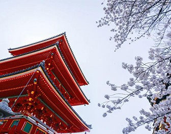 2022年入学｜可线上考试的日本大学学部盘点