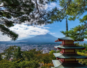 搞定阅读，让你的N1/N2离高分再近一步！