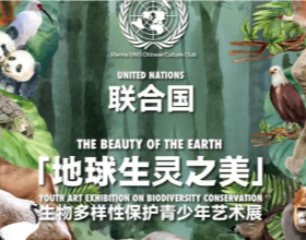 2025 联合国@你丨青少年生物多样性艺术展，一起共绘地球生灵之美！