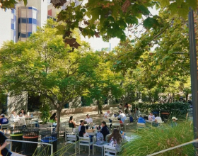 下一战申请：UC！想打通加州大学这一关，冲刺秘籍必须有！