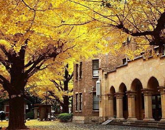 近700亿美元全现金收购暴雪，游戏设计才是未来&ldquo;钞能力&rdquo;！