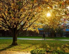 2023牛剑放榜落幕！英国菁英私校谁牛剑offer最多？点击为你揭秘&rarr;