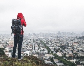 早申放榜，这件爬藤利器，你想到了吗？