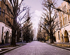 日本入境攻略｜「质问票」是什么？要如何填写？