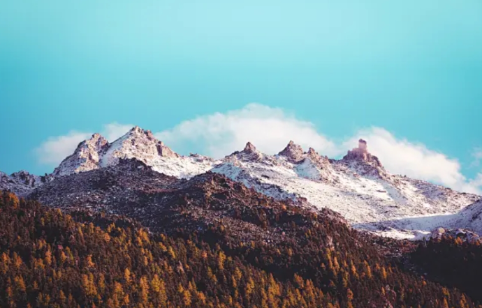 美国本科留学申请要求是什么-美世教育 美国本科留学申请要求是什么-美世教育