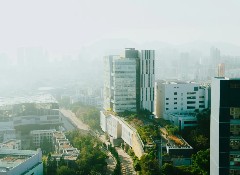 港校录取数据大起底，美世学子狂揽港大、港中文、港理工Offer！