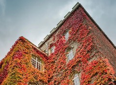 重磅！牛津25Fall申请数据藏玄机，剑桥发出第一封面邀！