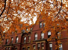 2025美国门户开放报告发布：赴美留学现历史拐点，未来何去何从？