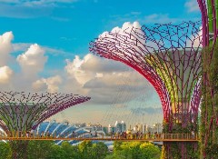 美世港新服务案例 | 从排斥留学到 &ldquo;全科通关&rdquo;，Y同学的破茧蜕变！