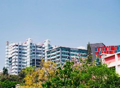 暴涨50%！港新集体涨价，亚洲留学性价比时代终结？