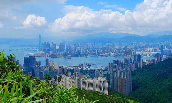 美世盘点：香港升学热门专业盘点 另附院校推荐