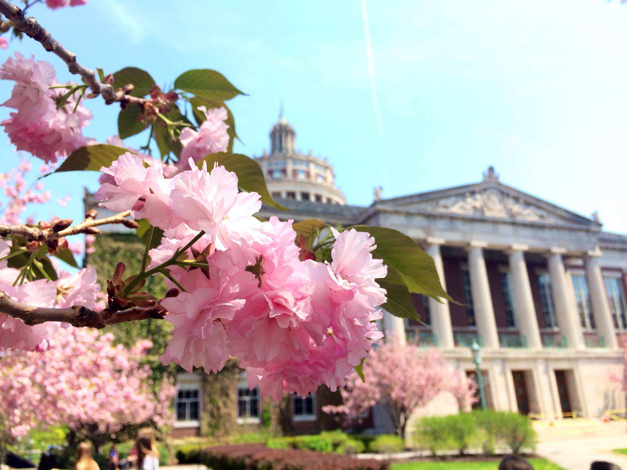 美国早申请是什么？为什么要早申请？