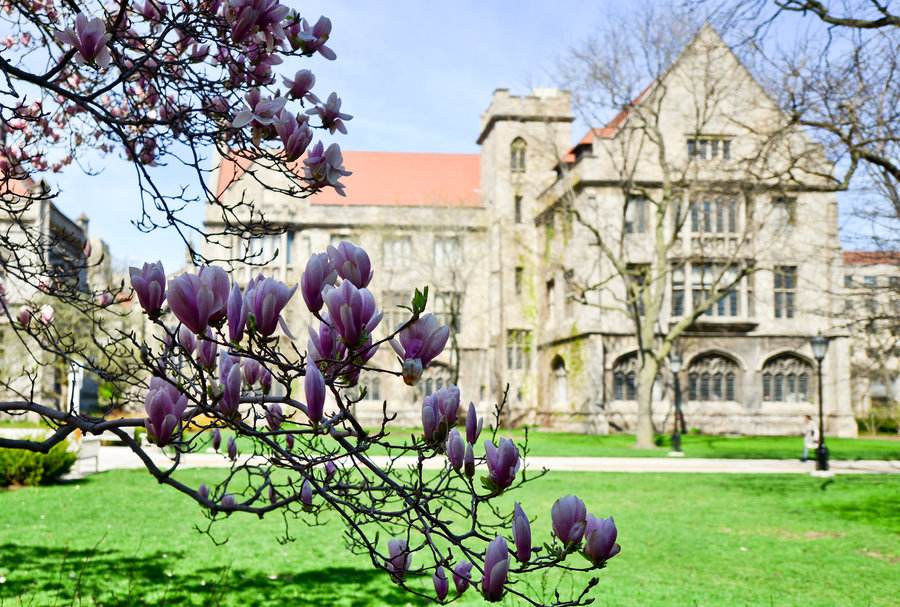 美世解读：美国春季入学和秋季入学有何不同？