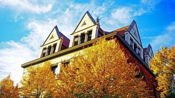 申请攻略：美国金融硕士专业申请解析