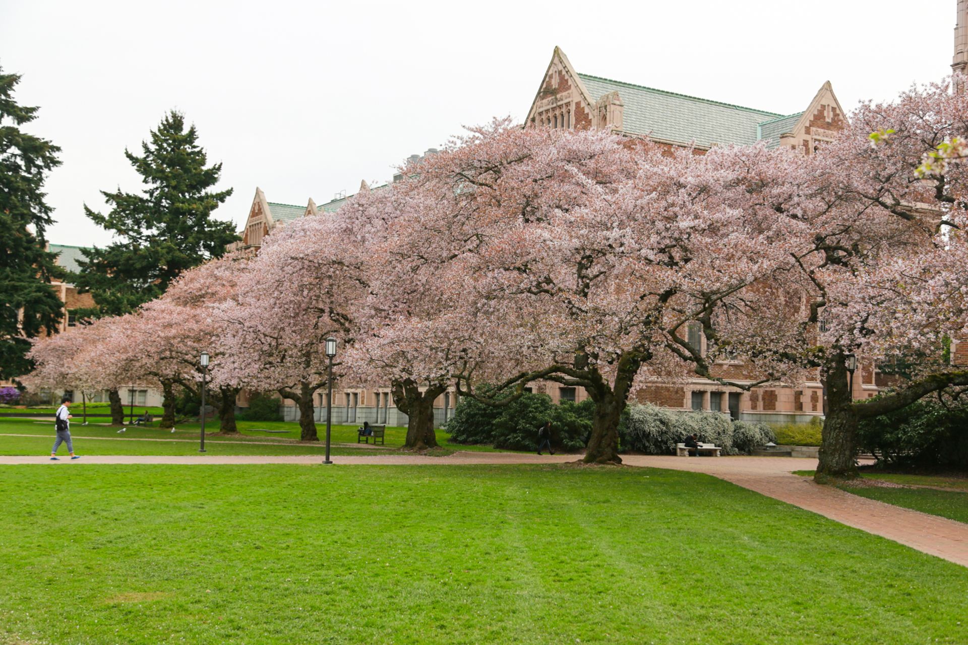 美世解读：春季入学适合哪些人？