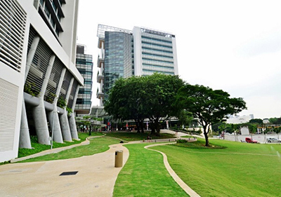 新加坡留学热门专业有哪些？