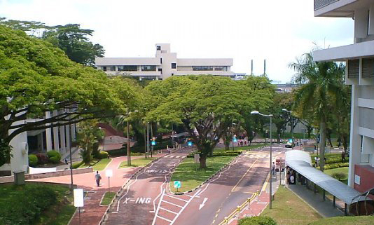 到新加坡读研究生，选什么专业比较好？