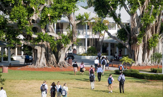 美国高中留学怎么选校？大学校or小学校？