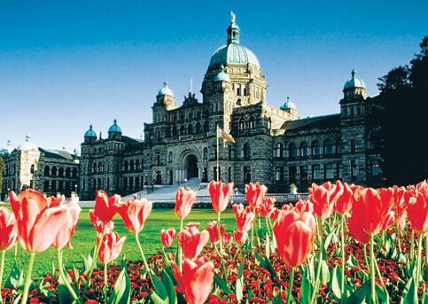 高考后，如何申请加拿大留学？