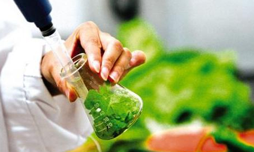 美国留学冷门但高薪的专业选择有哪些