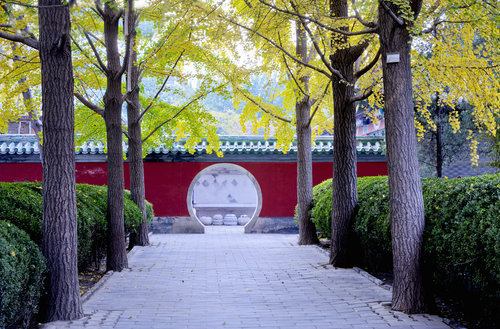 美国留学社会学专业申请条件有哪些？