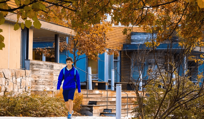 美国留学Gap Year间隔年是什么？