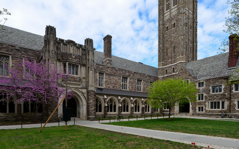 美国普林斯顿大学排名是多少名?